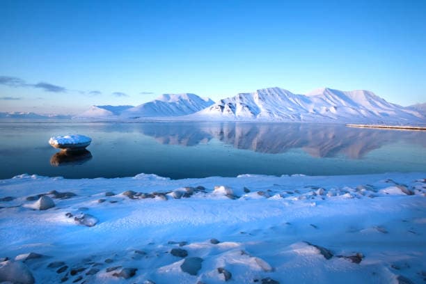 Arctic